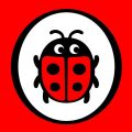 Ladybird