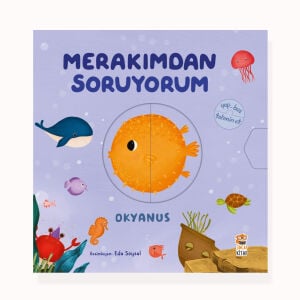 Merakımdan Soruyorum - Okyanus