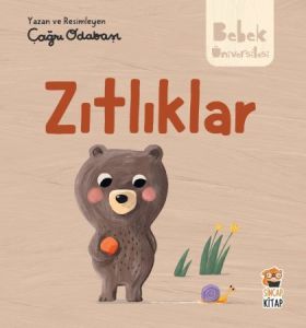 Bebek Üniversitesi - Zıtlıklar